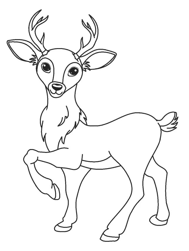 Coloriage Cerfs à imprimer