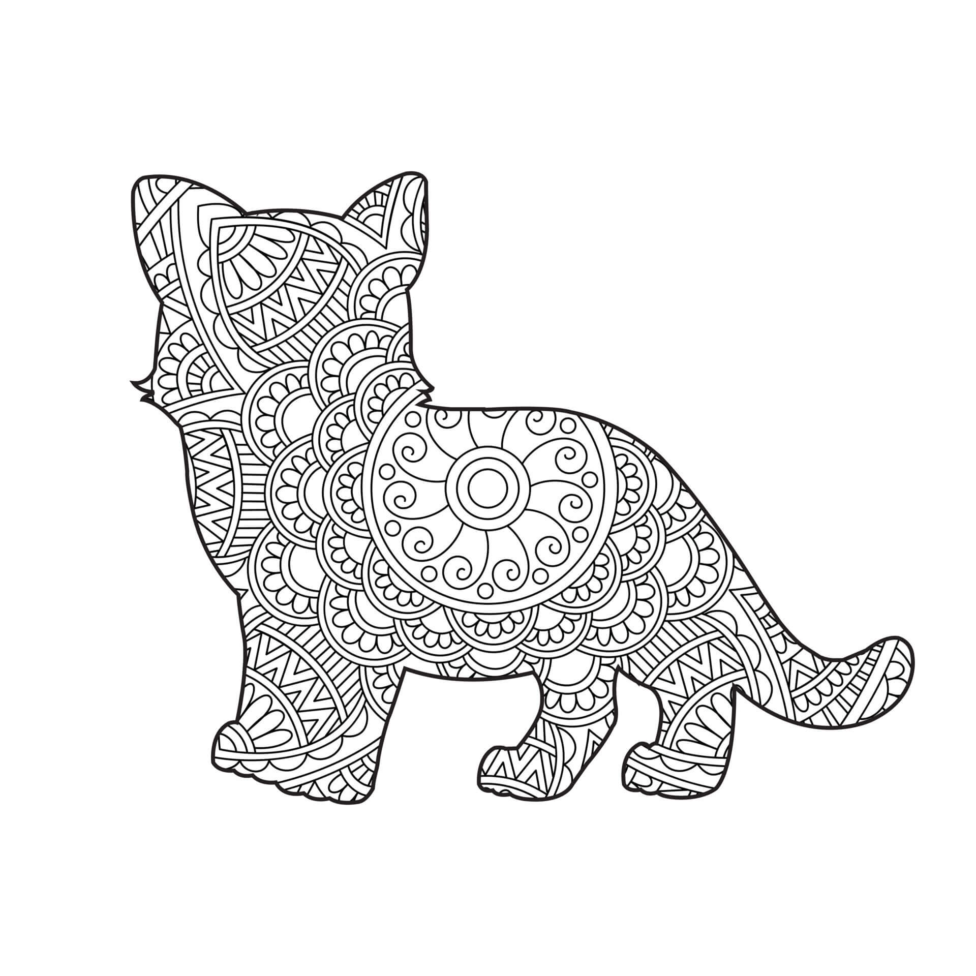 Coloriage Joli chat mandala