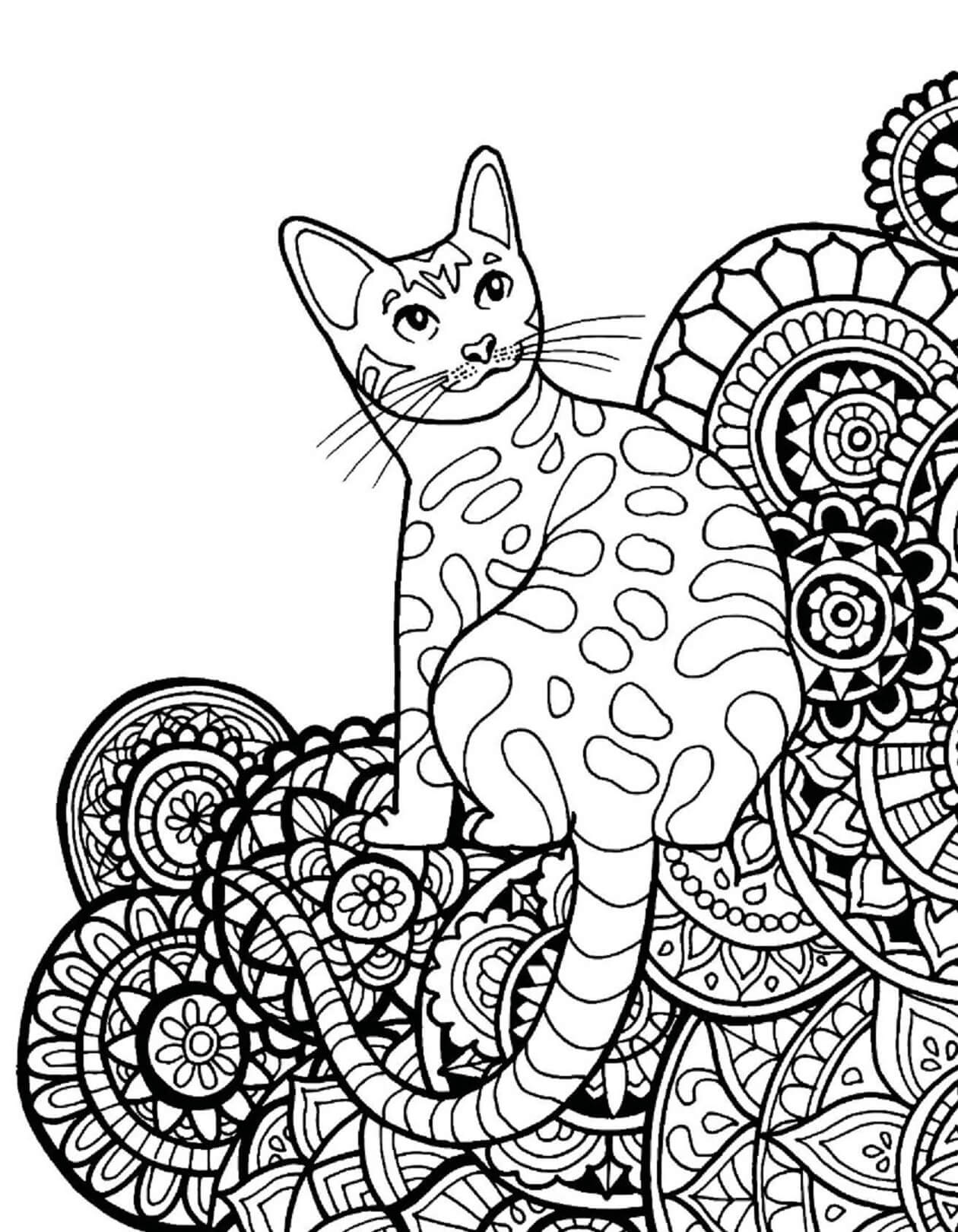 Coloriage Mandala Chat Souriant