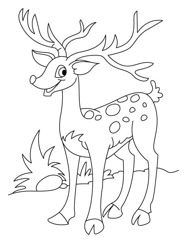 Coloriage Un cerfs de dessin animé