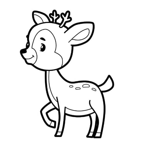 Coloriage Un cerfs mignon