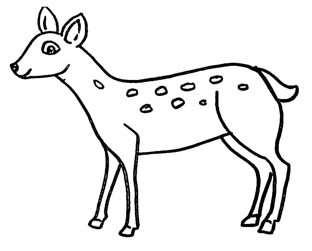 Coloriage Un cerfs souriant