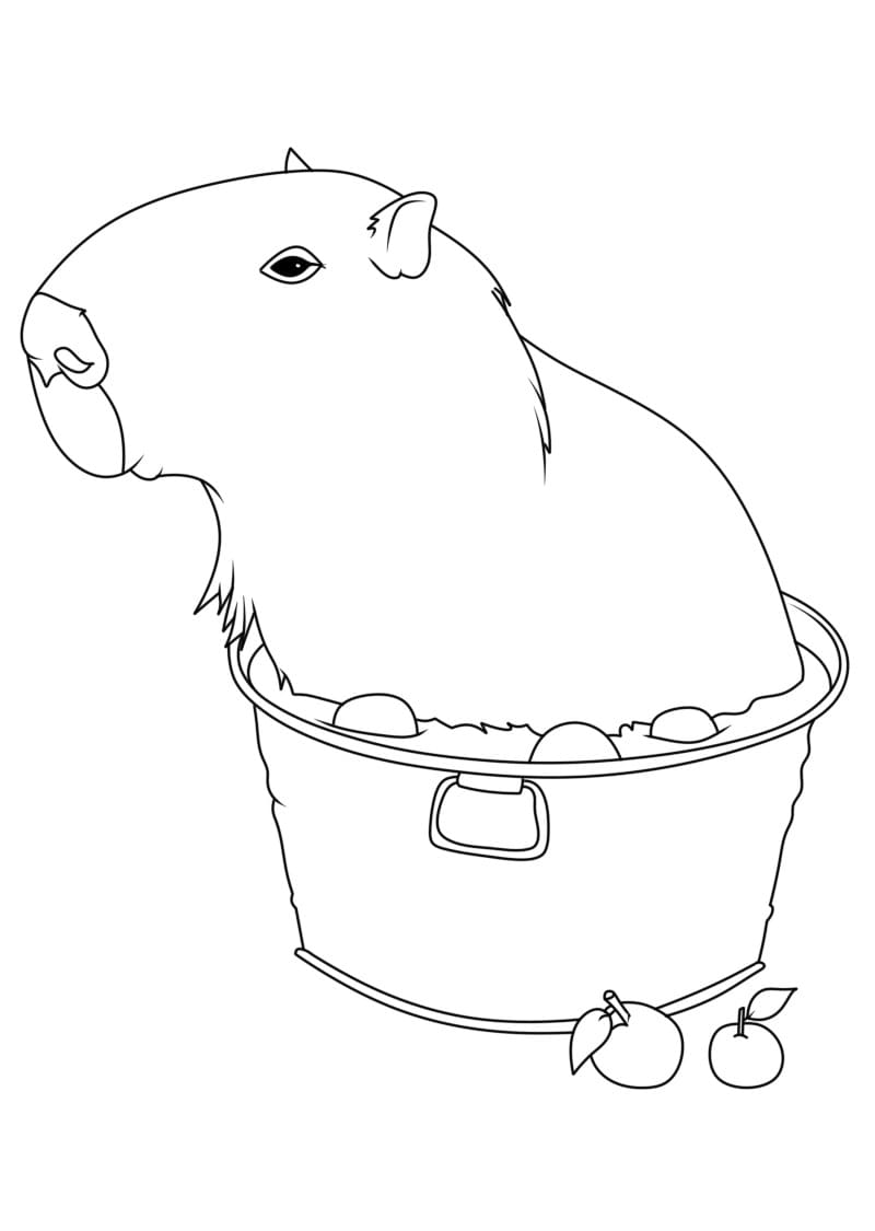 Coloriage Capybara imprimable gratuitement