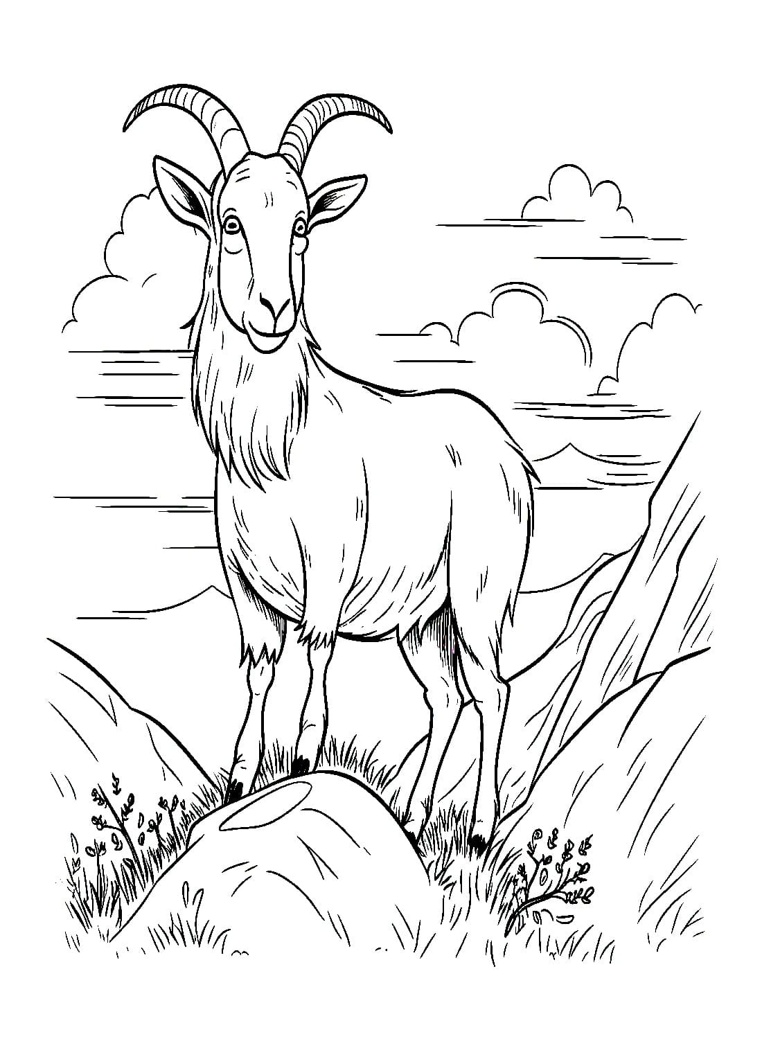 Coloriage Chèvre de montagne à imprimer