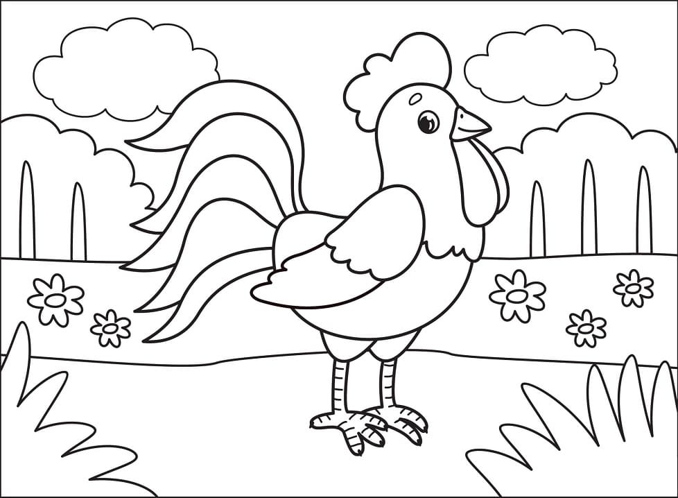 Coloriage Dessin Coq base gratuite