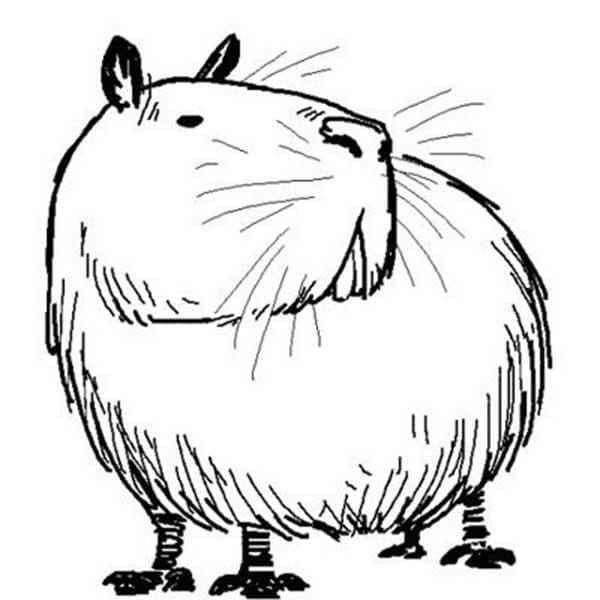 Coloriage Dessin de Capybara à Imprimable