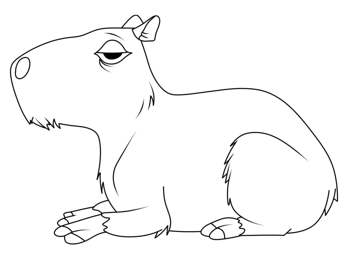 Coloriage Dessin de Capybara paresseux