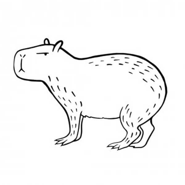 Coloriage Dessin de Capybara pour les enfants