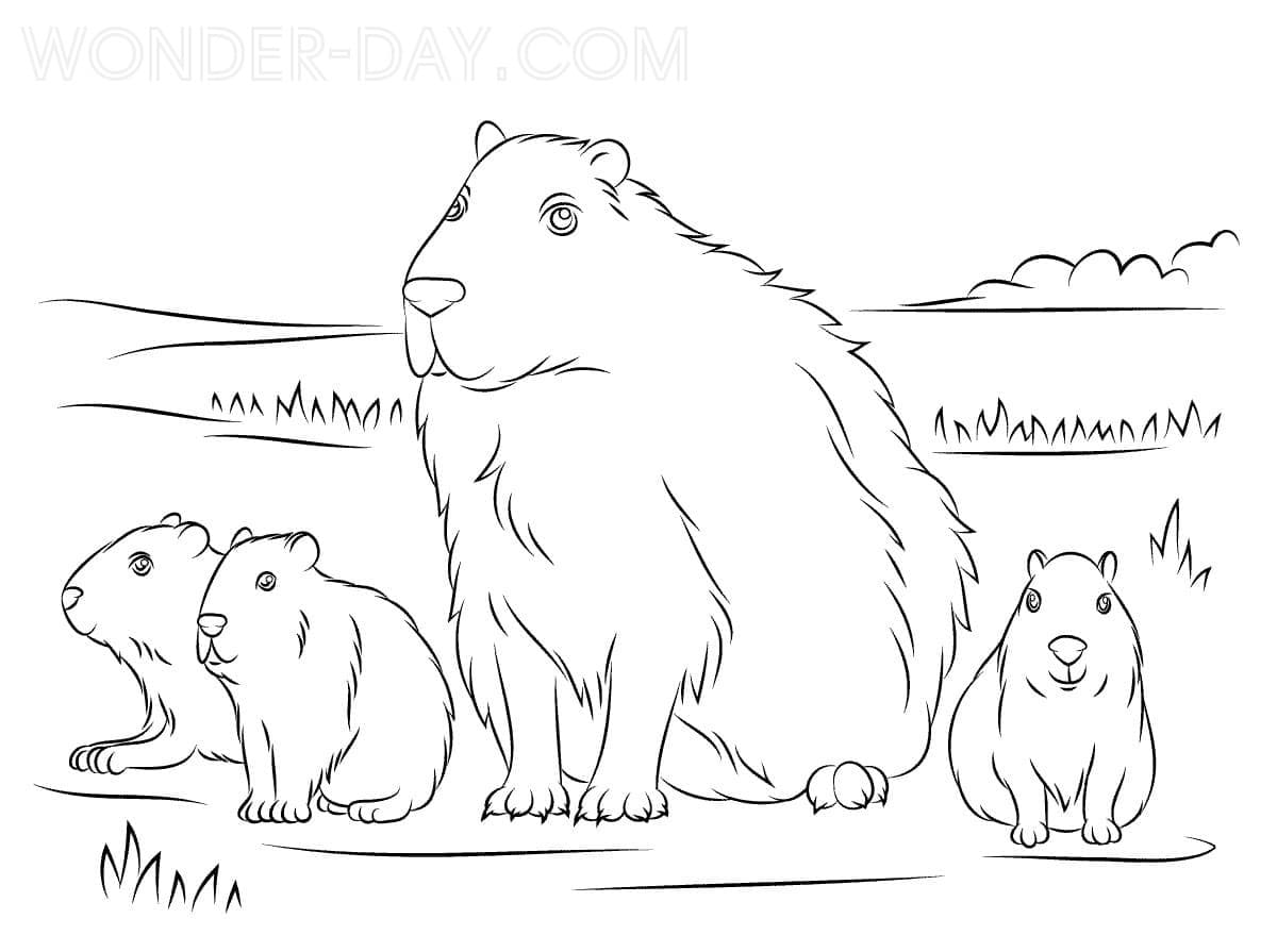 Coloriage Dessin de la famille Capybara