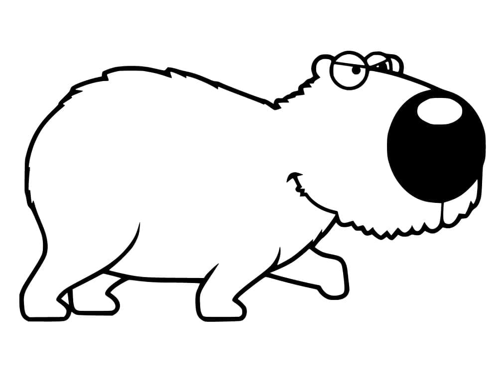 Coloriage Dessin drôle une Capybara