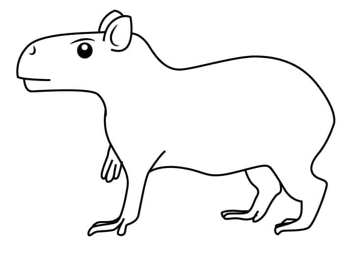 Coloriage Dessin simple une capybara