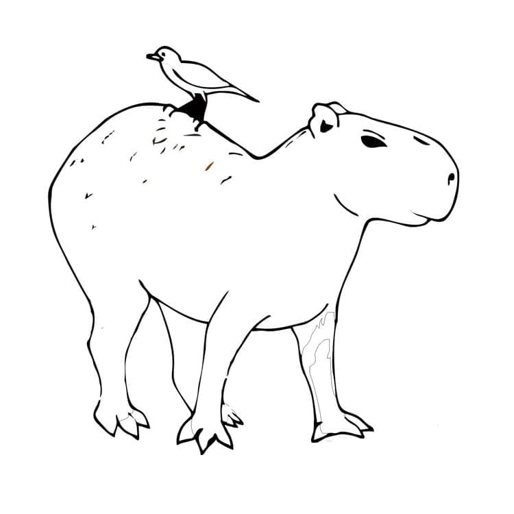 Coloriage Dessine un capybara et un oiseau