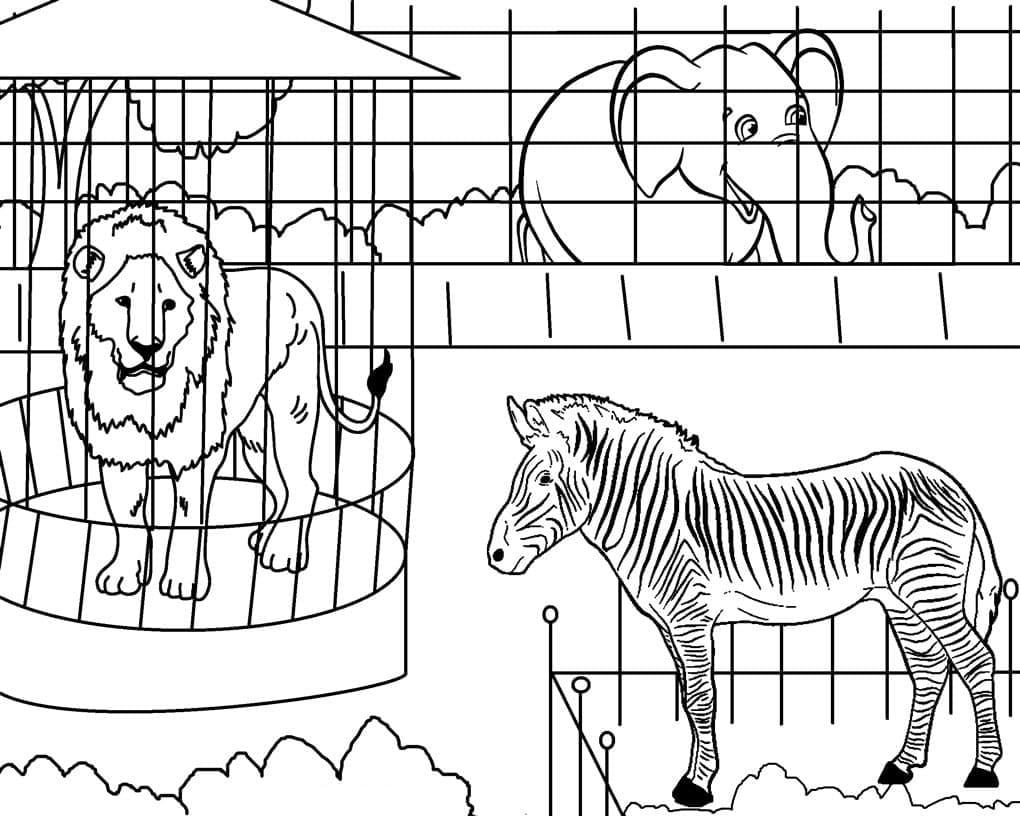 Coloriage Dessiner au zoo