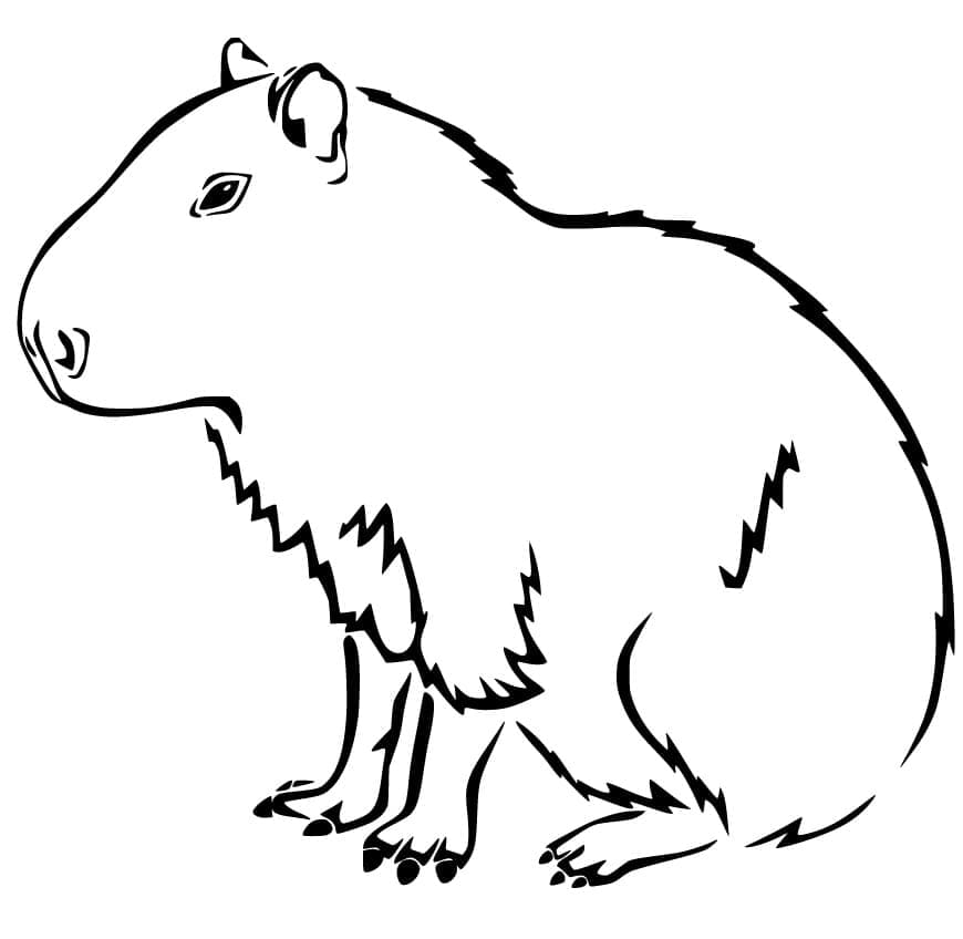 Coloriage Dessiner Capybara gratuitement