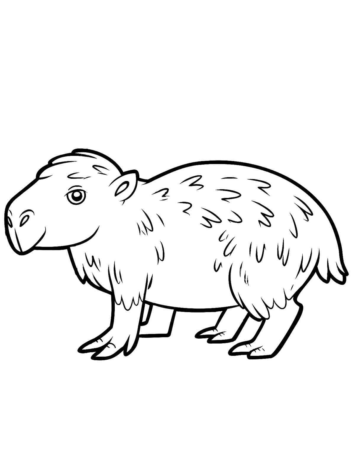 Coloriage Dessiner Capybara heureux