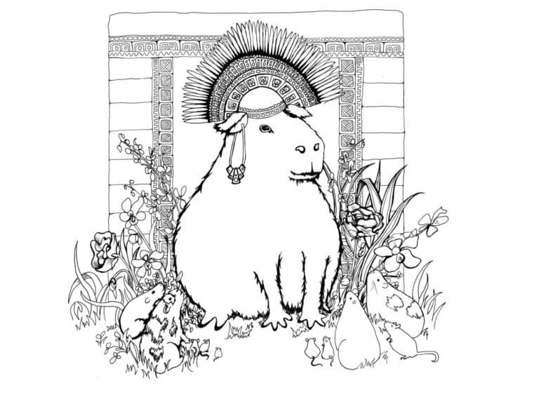 Coloriage Dessiner joli capybara