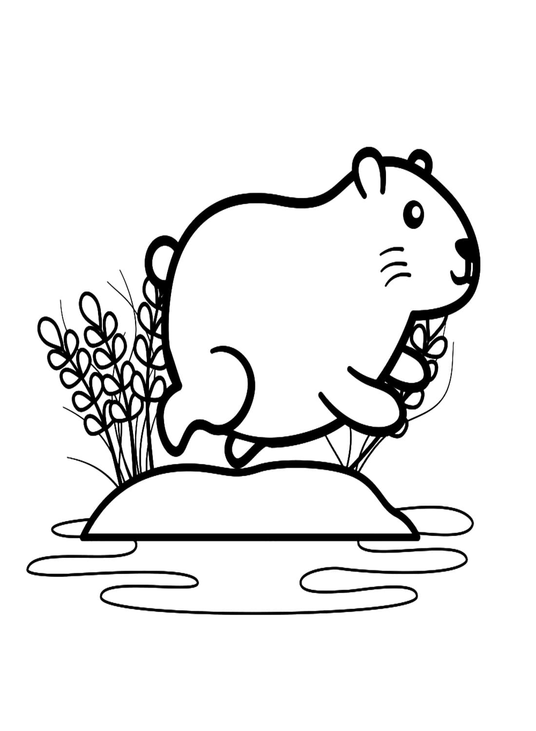 Coloriage Dessiner un adorable capybara gratuitement