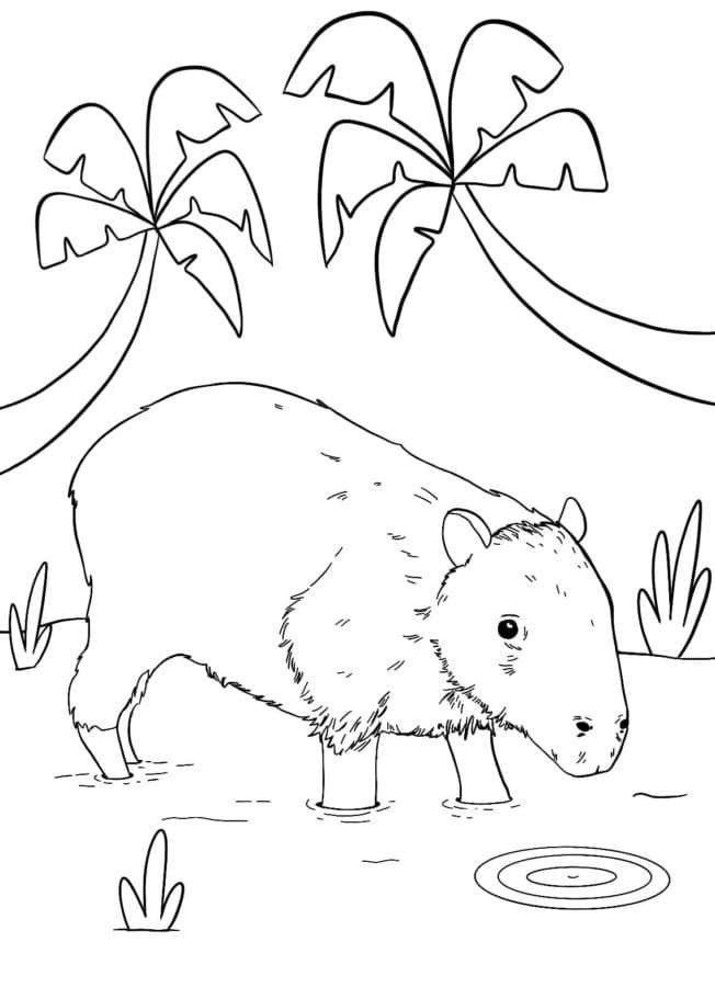 Coloriage Dessiner un capybara gratuitement