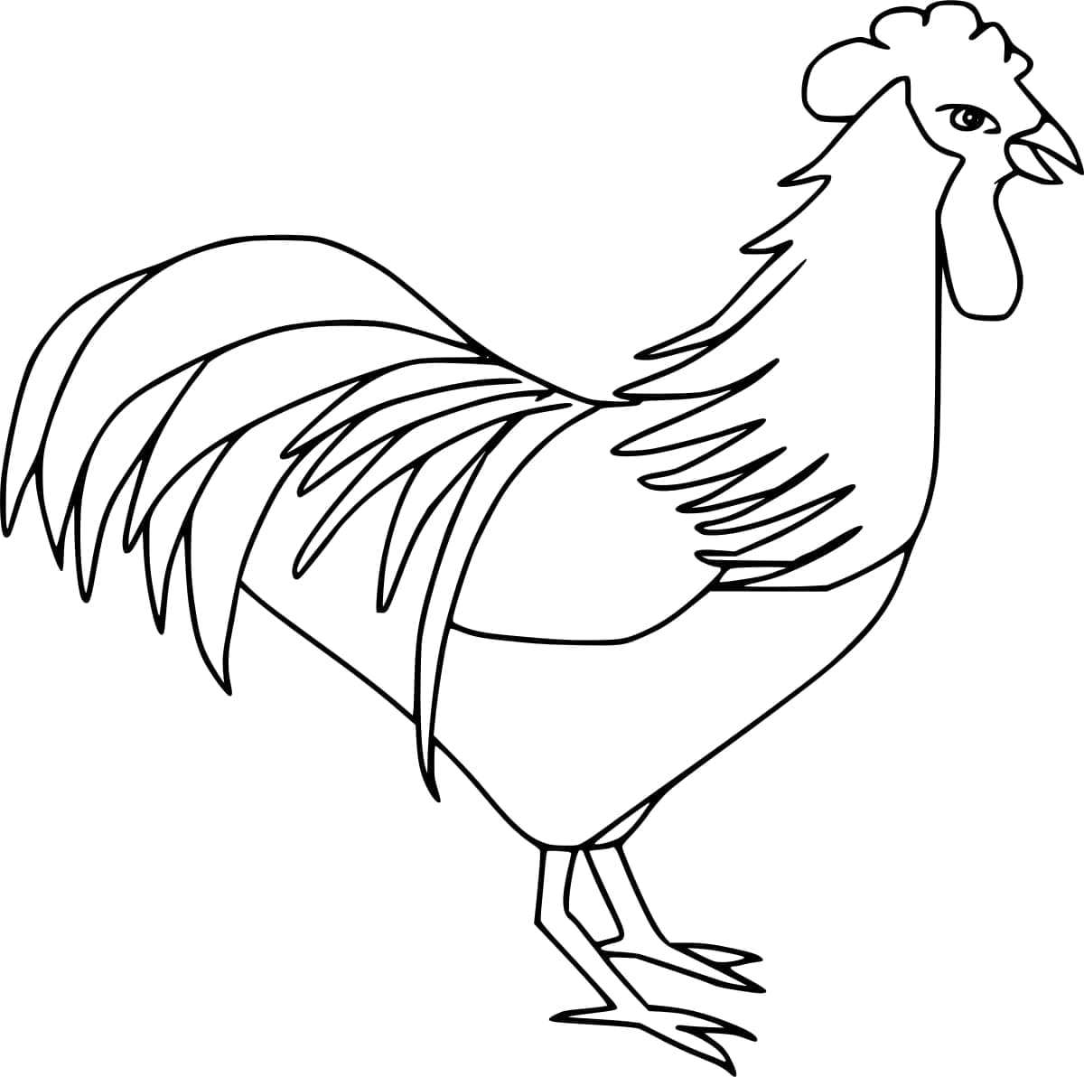 Coloriage Dessiner un coq amusant