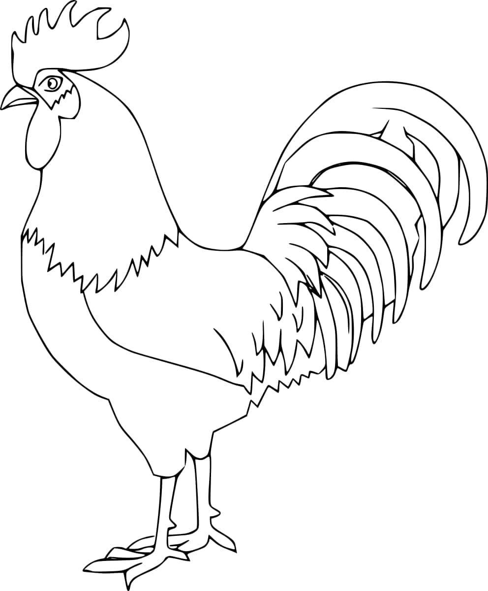 Coloriage Dessiner un coq