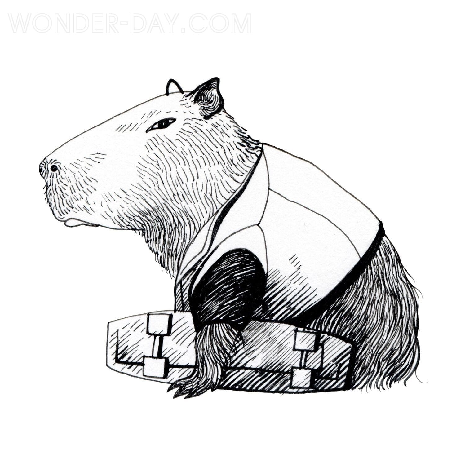 Coloriage Dessiner une image de Capybara