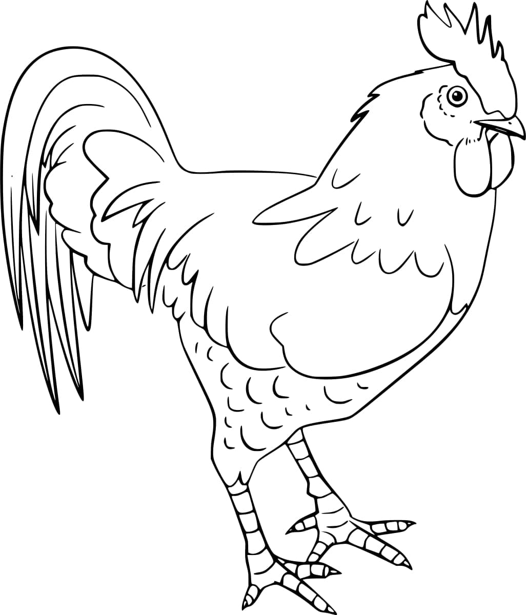 Coloriage Dessinez coq Très cool