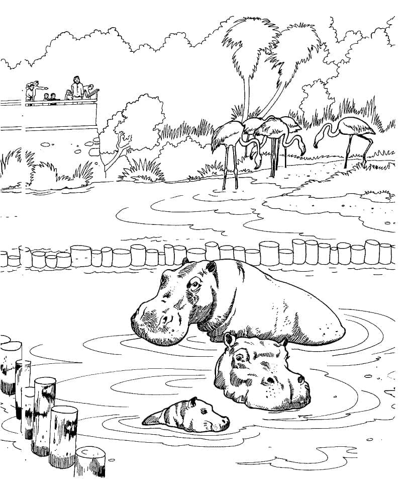 Coloriage Hippopotame dans un zoo