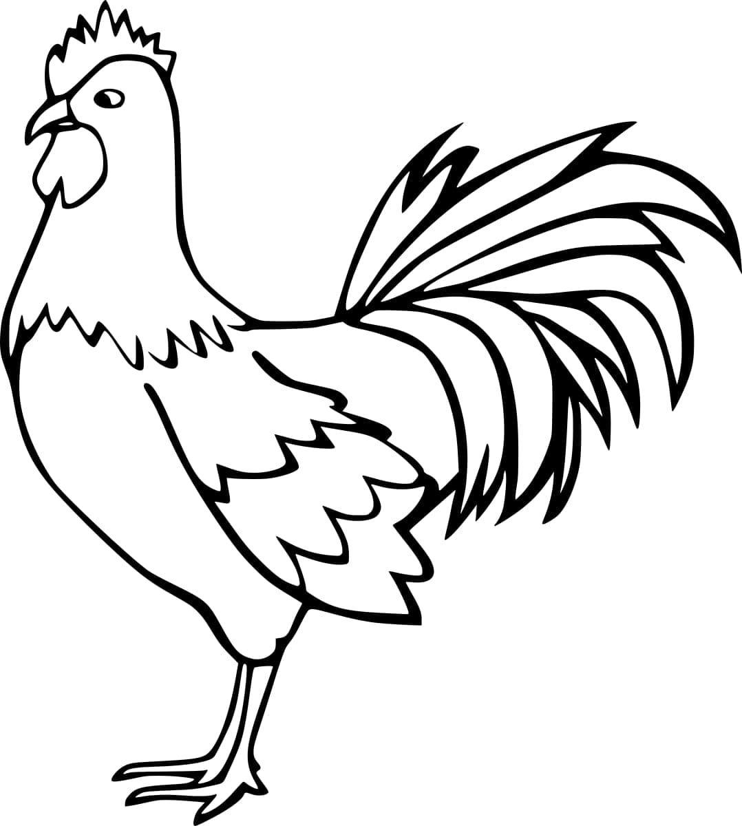 Coloriage Image de Coq facile