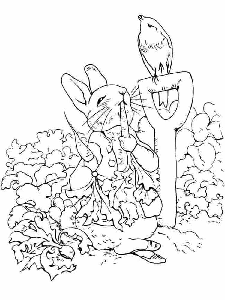 Coloriage Image de Pierre Lapin