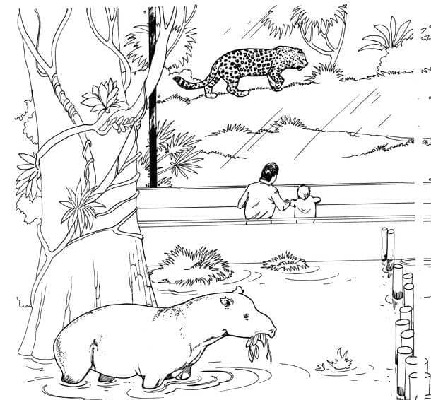 Coloriage Imprimer les animaux du zoo