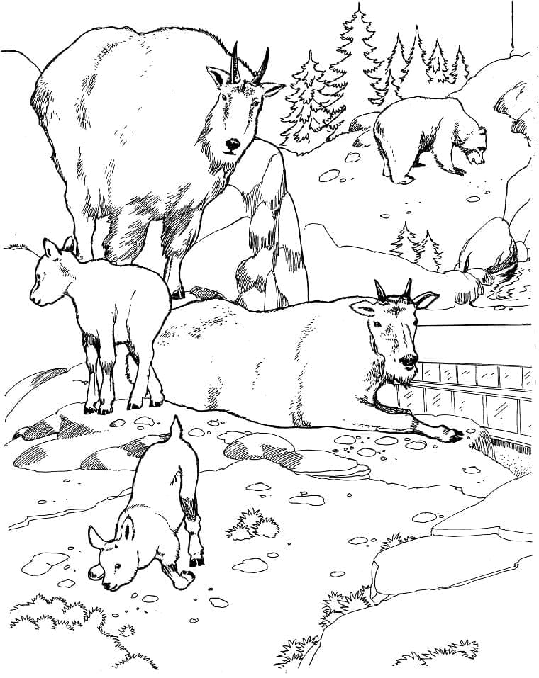 Coloriage Les animaux du zoo