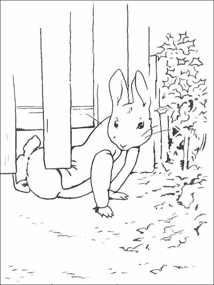 Coloriage Libérez Pierre Lapin