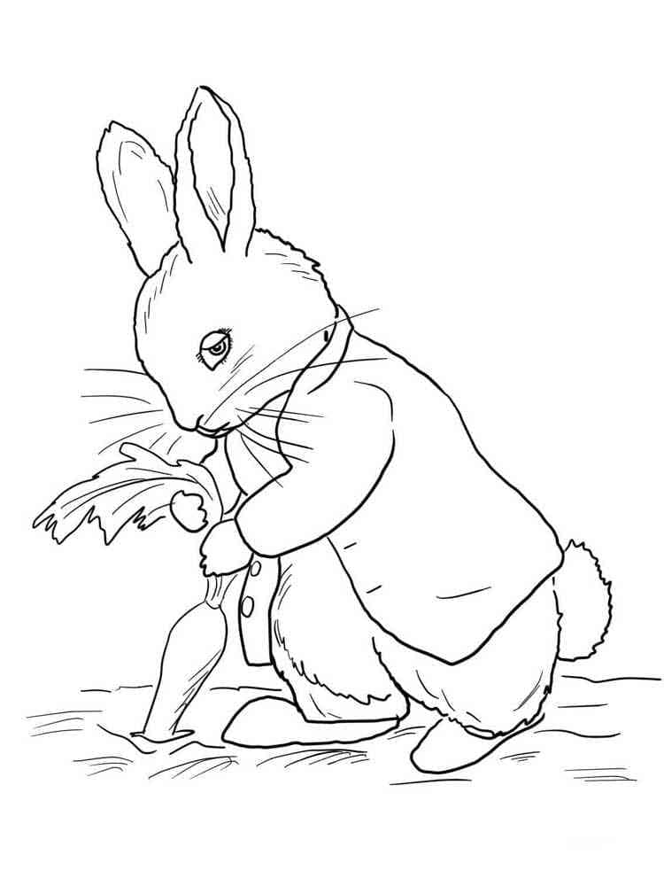 Coloriage Pierre Lapin et la carotte