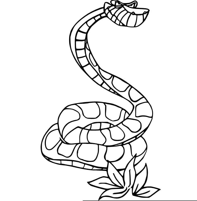 Coloriage Simple Kaa le serpent