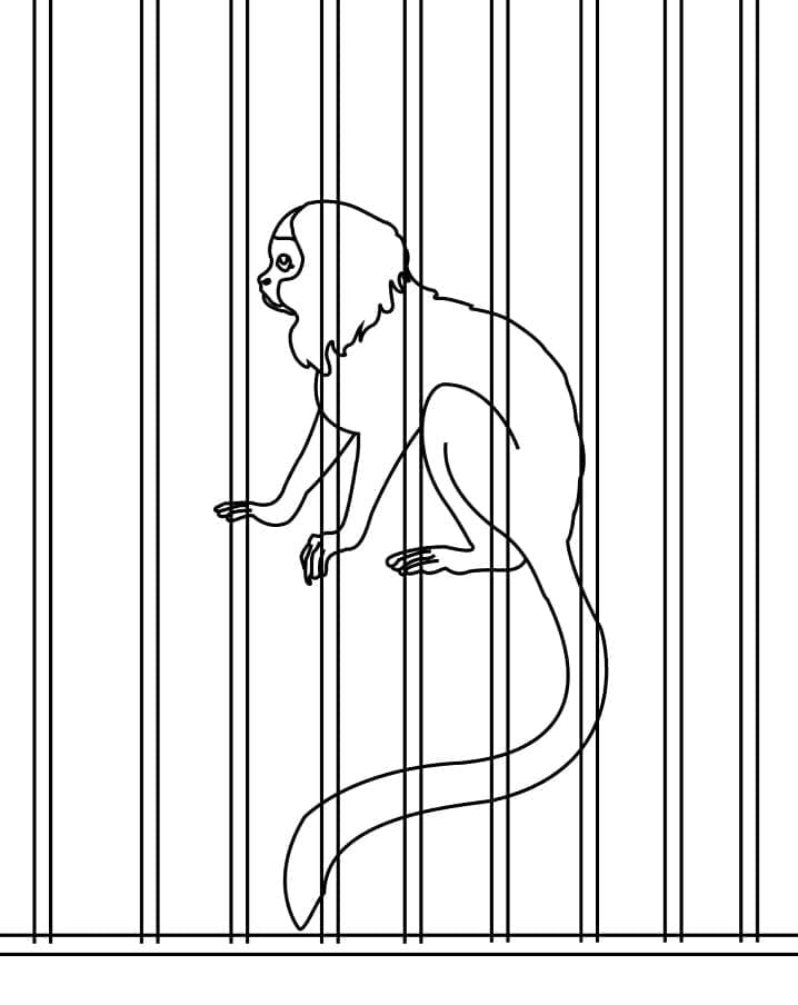 Coloriage Singe en cage