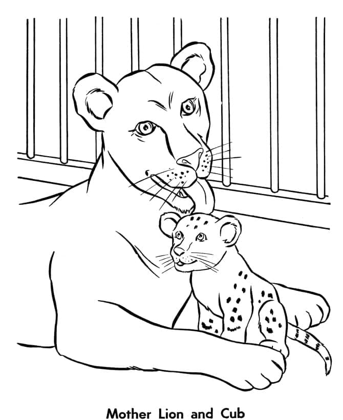 Coloriage Une lionne et son lionceau dans un zoo