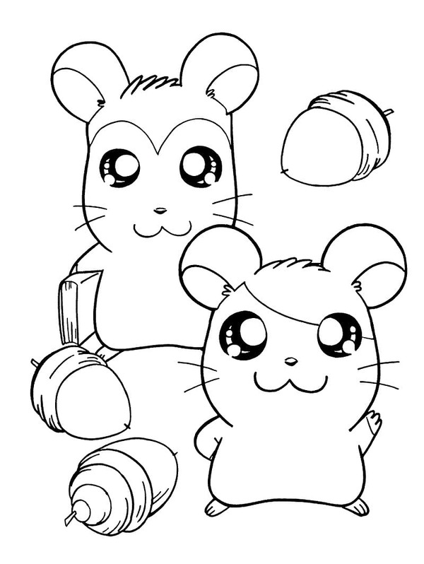 Coloriage Dessine Hamtaro et Pashmina