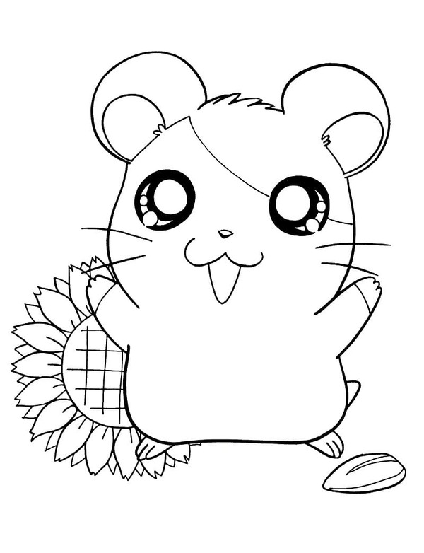 Coloriage Dessiner de Hamtaro 2