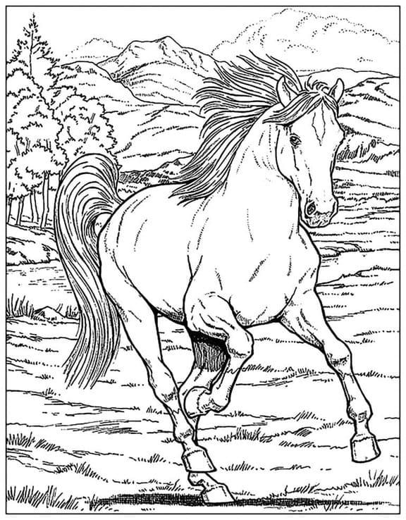 Coloriage Adulte Cheval 12 à imprimer