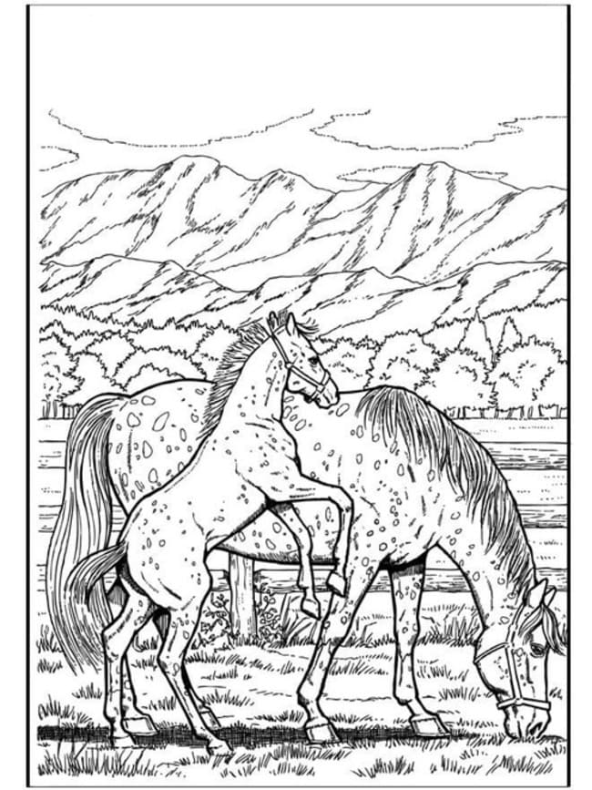 Coloriage Adulte Cheval 9 à imprimer