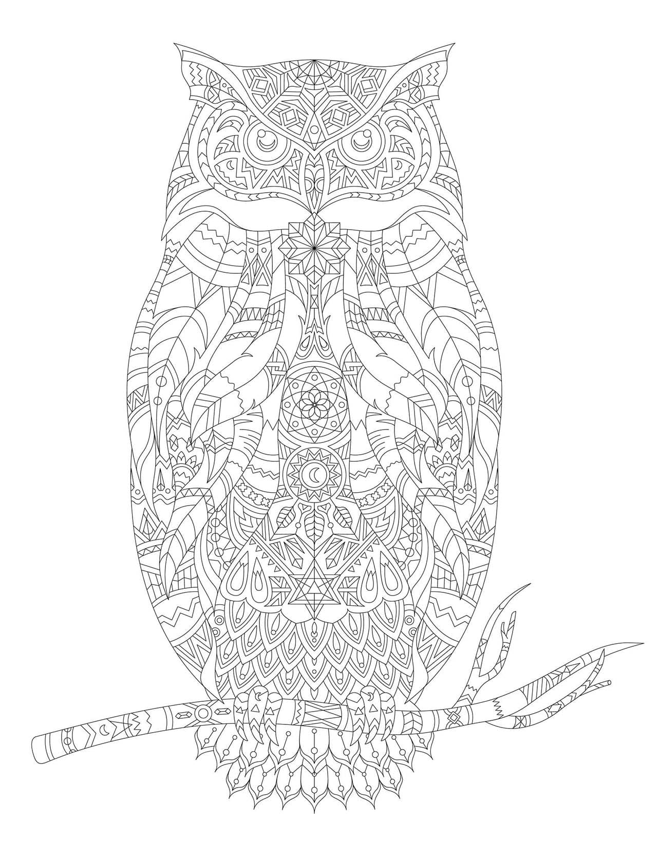 Coloriage Dessin Adulte Animaux gratuite facile à imprimer