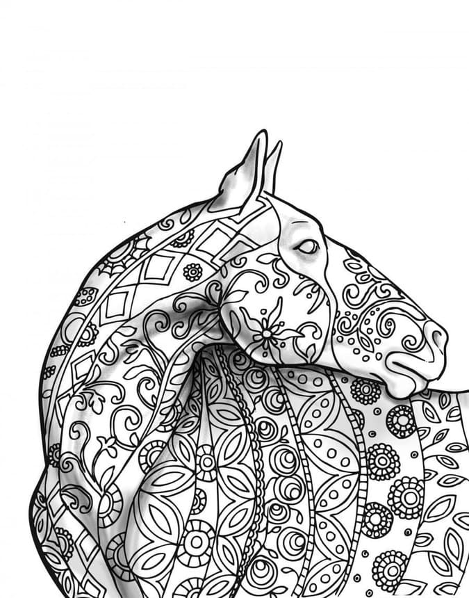 Coloriage Dessin Adulte Cheval à imprimer