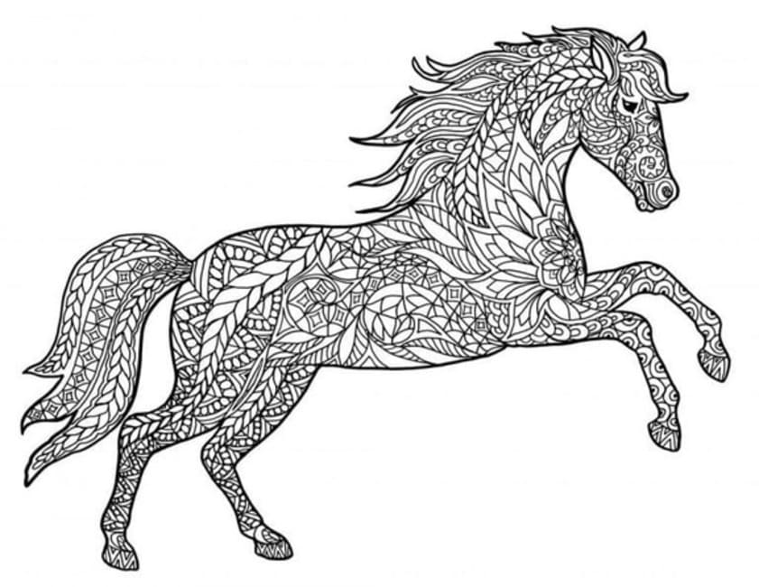 Coloriage Dessin Adulte Cheval gratuit à imprimer