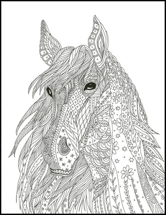 Coloriage Dessin Adulte Cheval mignon à imprimer