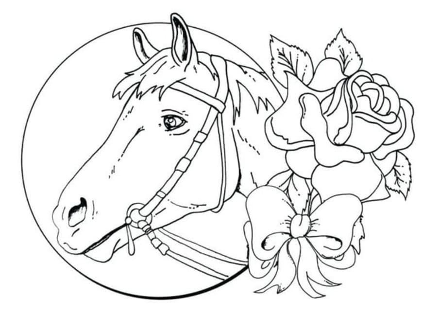 Coloriage Dessin Adulte Cheval très mignon