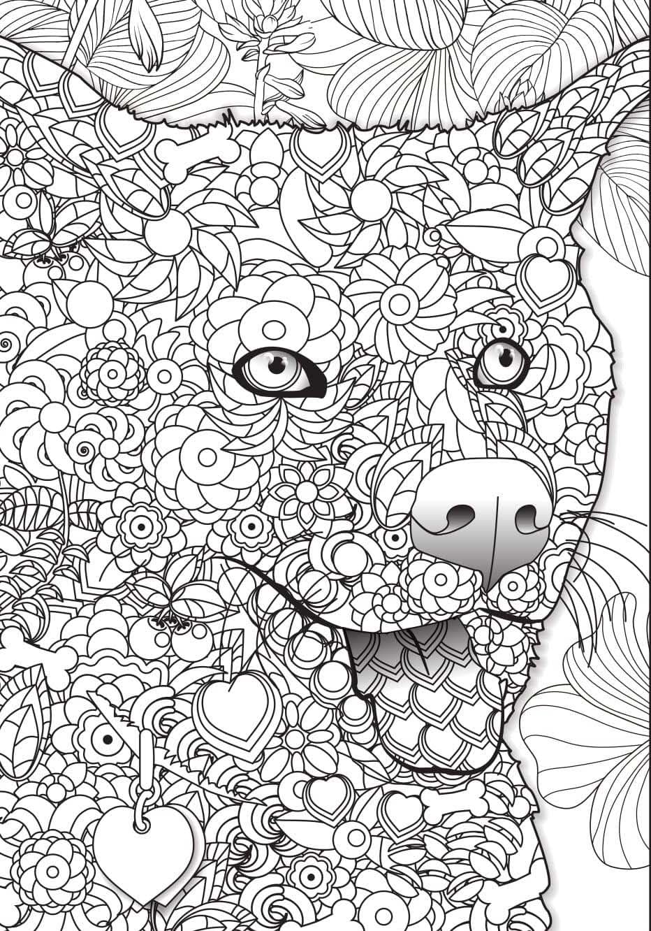 Coloriage Dessin basique Adulte Animaux à imprimer