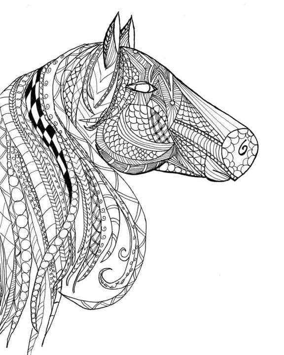 Coloriage Dessin gratuit Adulte Cheval à imprimer