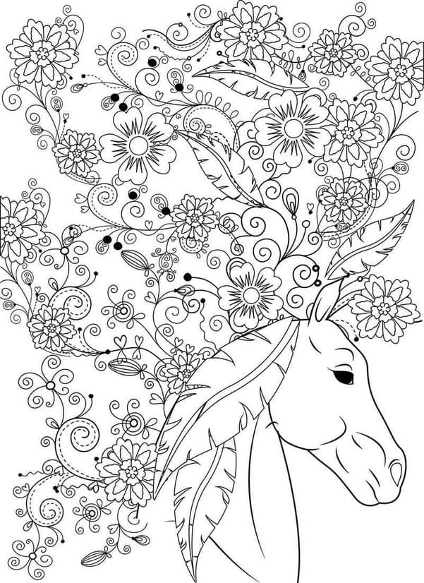 Coloriage Dessin gratuit Adulte Cheval imprimable à imprimer