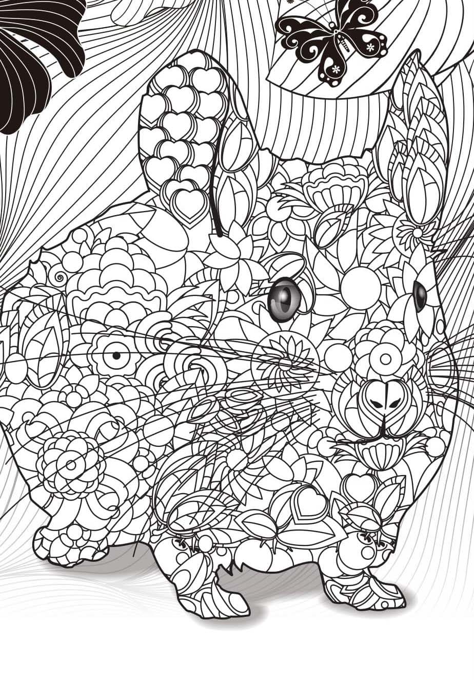 Coloriage Dessin image Adulte Animaux à imprimer