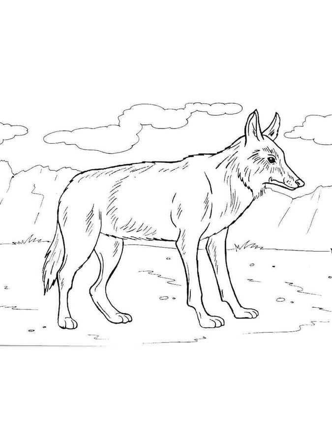 Coloriage Dessine coyote dans les plaines